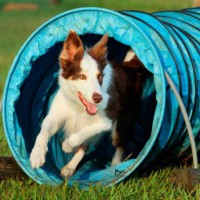 輕（?。┬凸匪淼? onmouseover=