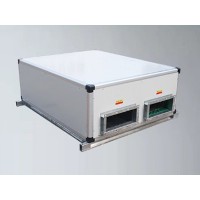 揚子江商用新風(fēng)換氣機